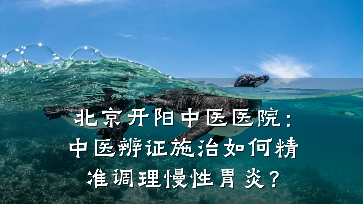 北京开阳中医医院:中医辨证施治如何精准调理慢性胃炎?