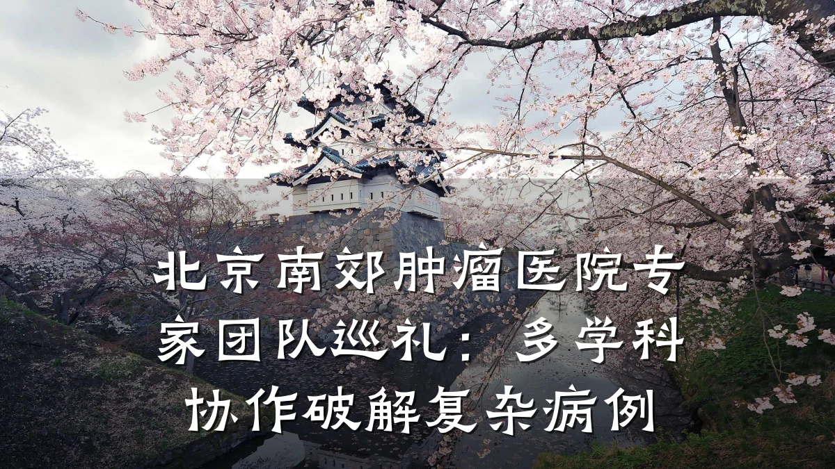 北京南郊肿瘤医院专家团队巡礼:多学科协作破解复杂病例
