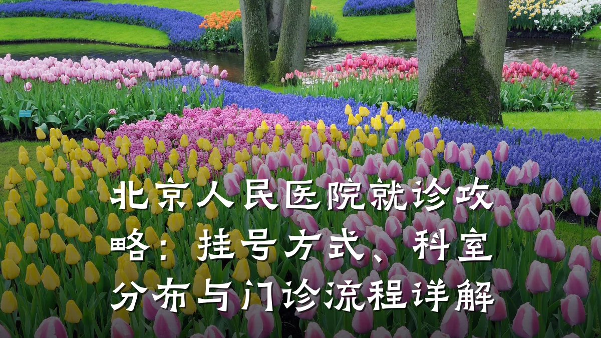 北京人民医院就诊攻略:挂号方式、科室分布与门诊流程详解