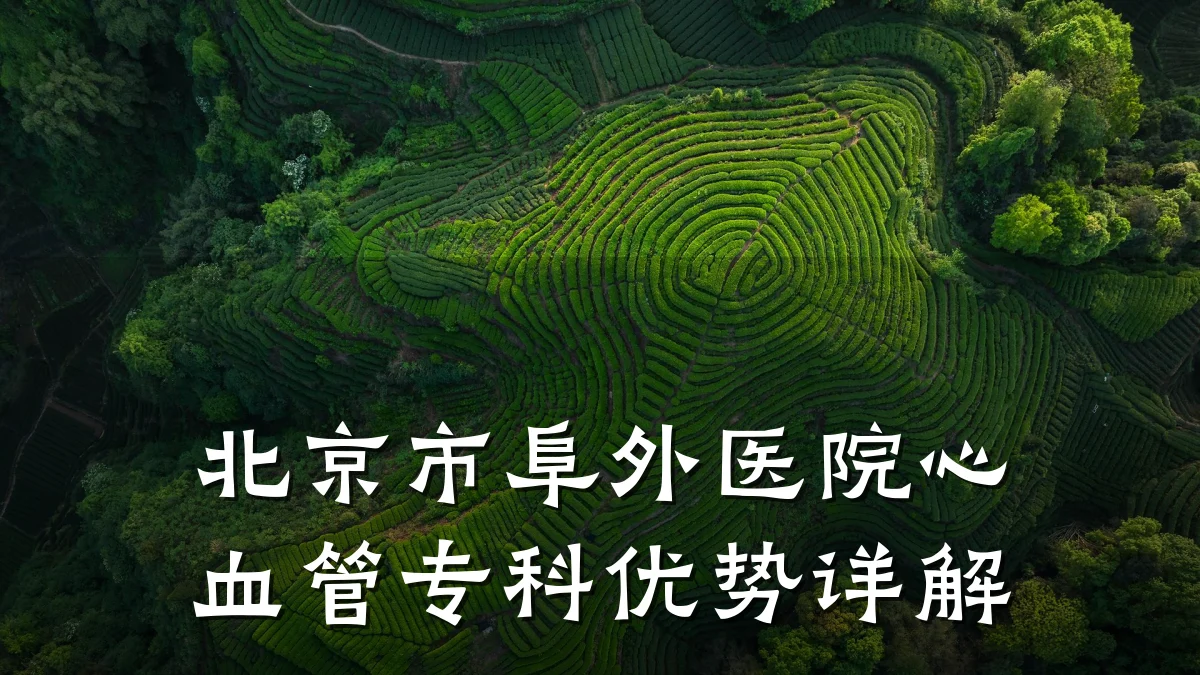 北京市阜外医院心血管专科优势详解
