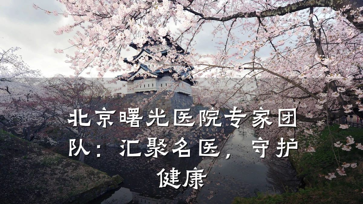 北京曙光医院专家团队:汇聚名医,守护健康