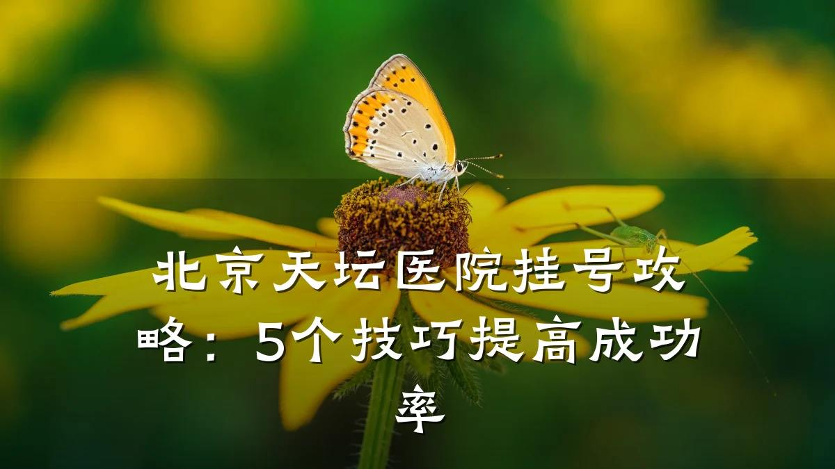 北京天坛医院挂号攻略:5个技巧提高成功率