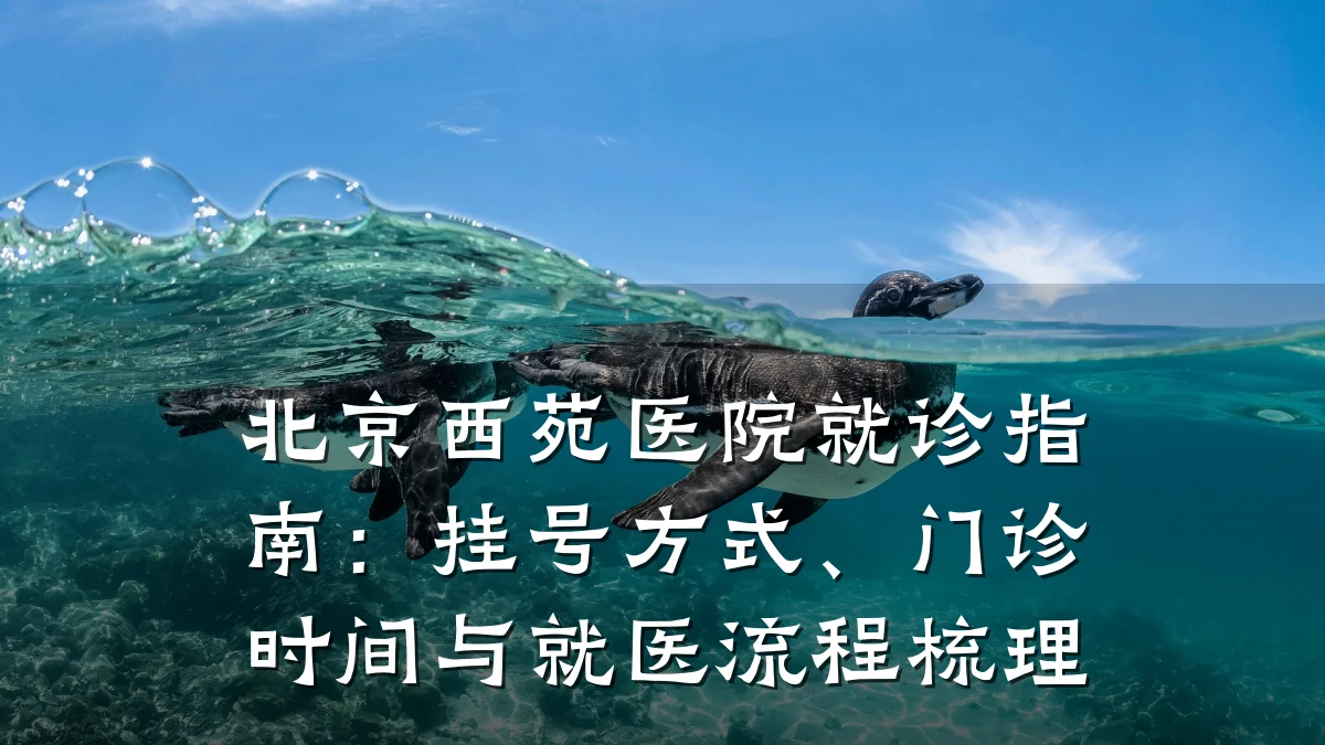 北京西苑医院就诊指南:挂号方式、门诊时间与就医流程梳理