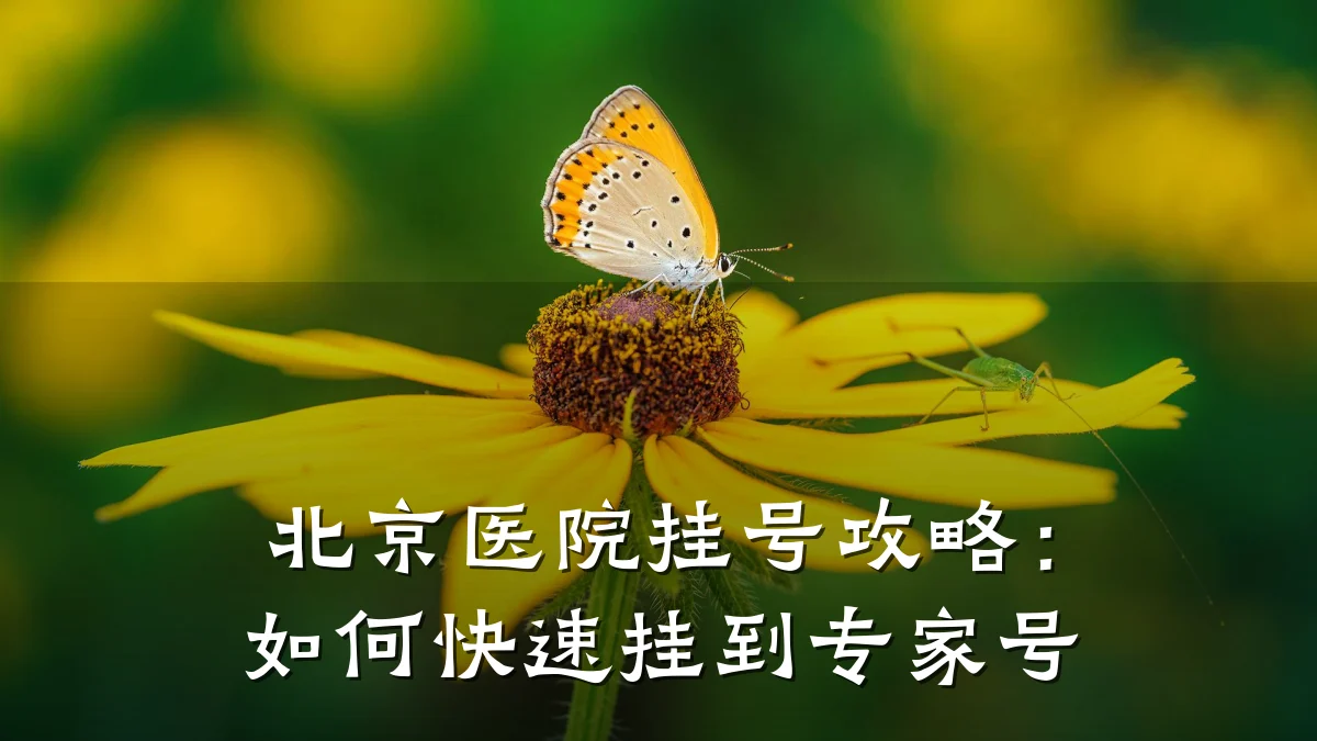 北京医院挂号攻略:如何快速挂到专家号