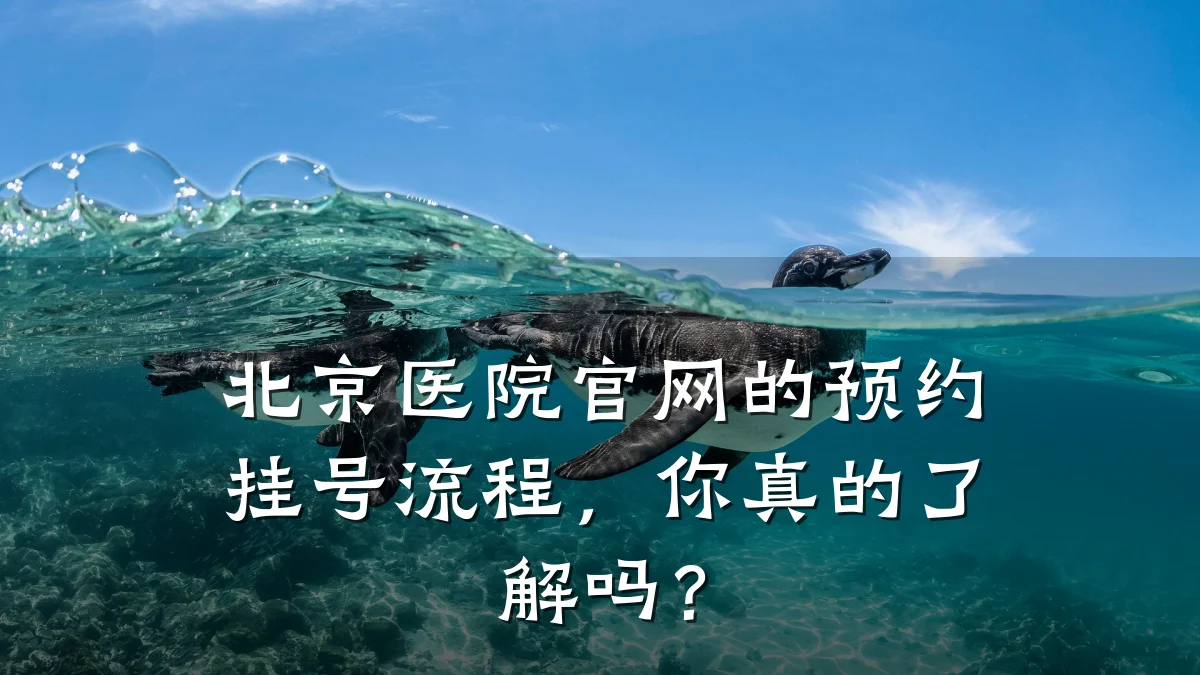 北京医院官网的预约挂号流程,你真的了解吗?