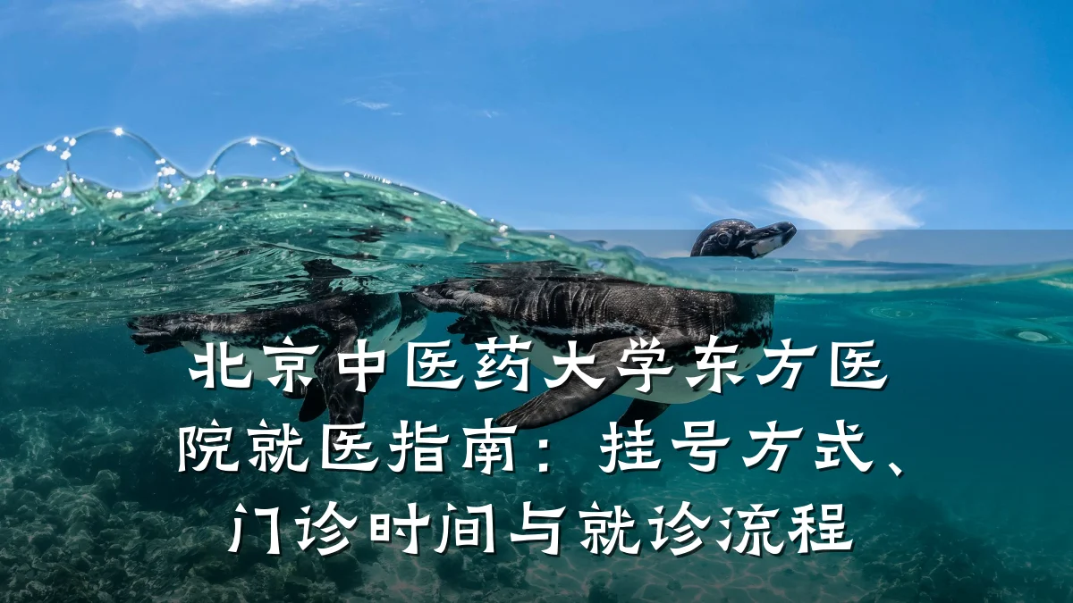 北京中医药大学东方医院就医指南:挂号方式、门诊时间与就诊流程
