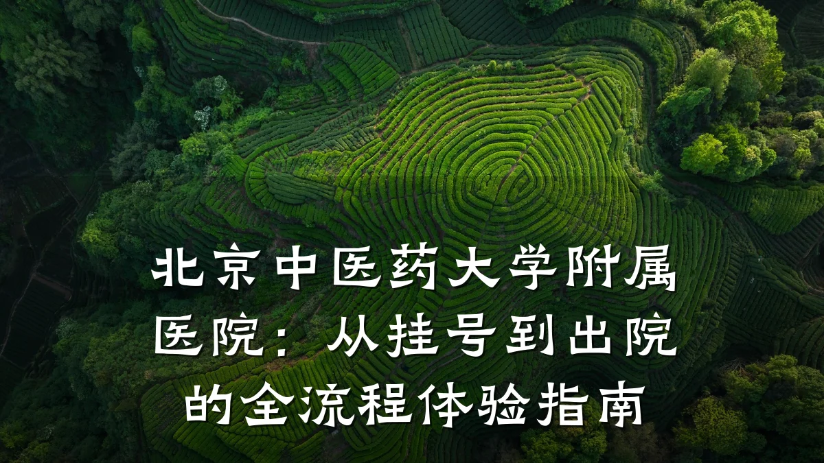 北京中医药大学附属医院:从挂号到出院的全流程体验指南