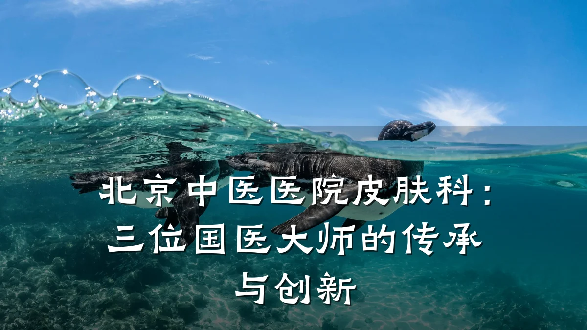 北京中医医院皮肤科:三位国医大师的传承与创新
