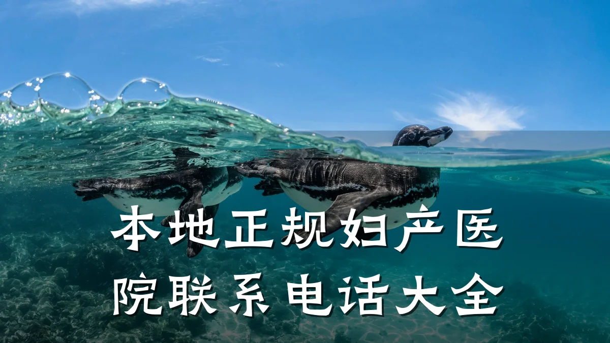 本地正规妇产医院联系电话大全