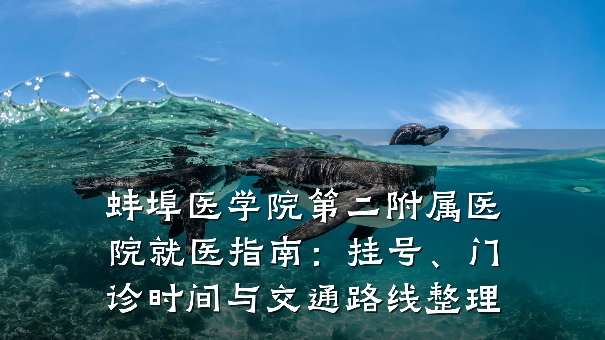 蚌埠医学院第二附属医院就医指南:挂号、门诊时间与交通路线整理
