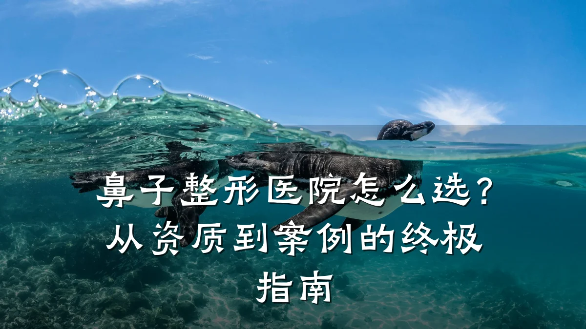 鼻子整形医院怎么选?从资质到案例的终极指南