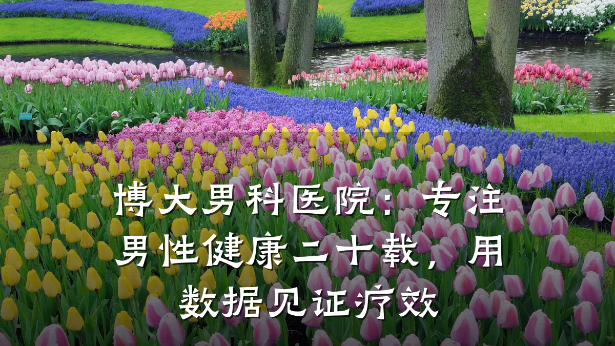 博大男科医院:专注男性健康二十载,用数据见证疗效