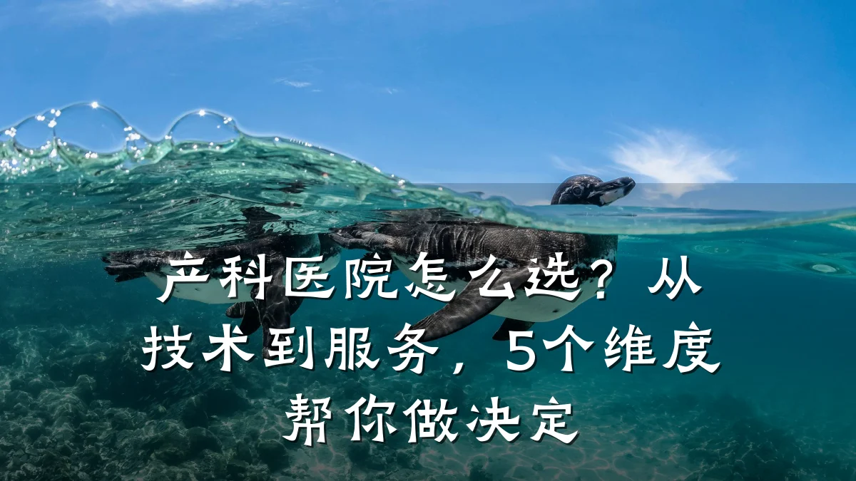 产科医院怎么选?从技术到服务,5个维度帮你做决定