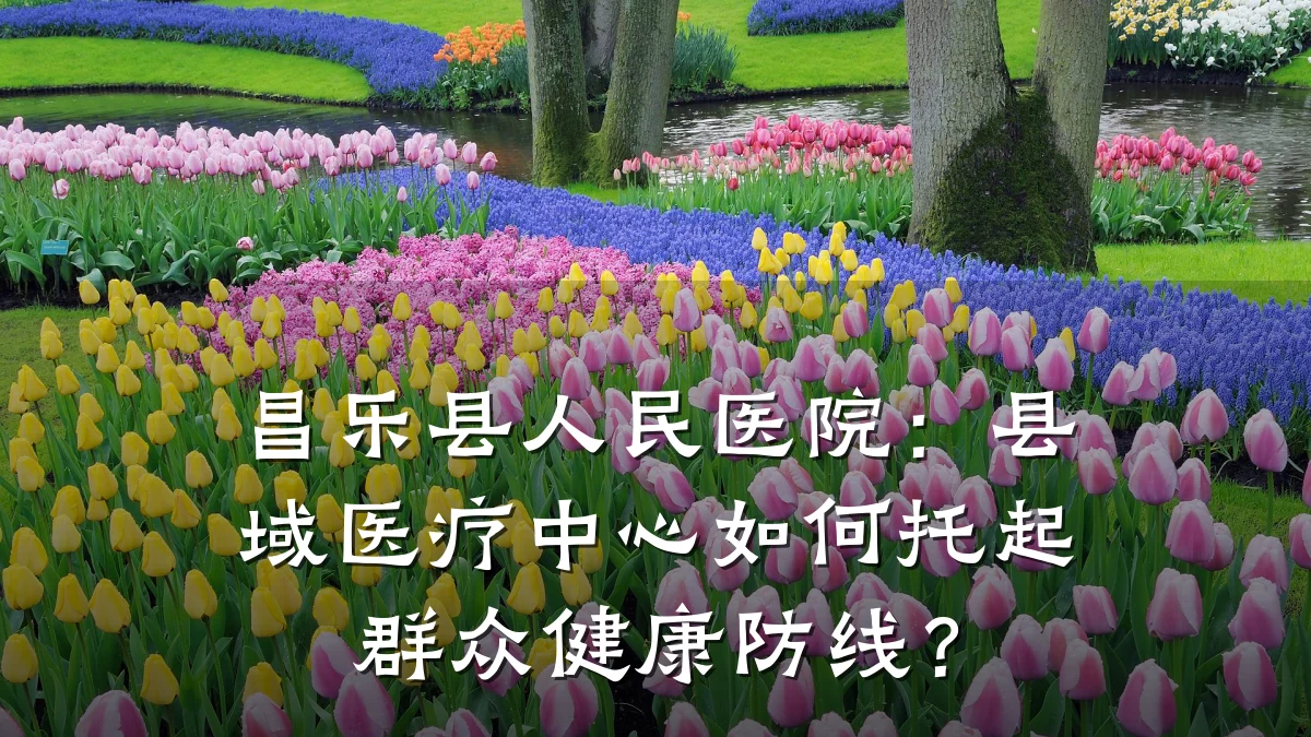 昌乐县人民医院:县域医疗中心如何托起群众健康防线?