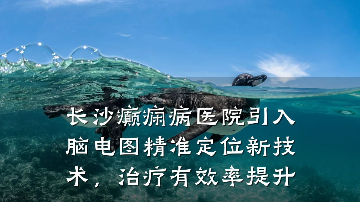 长沙癫痫病医院引入脑电图精准定位新技术,治疗有效率提升