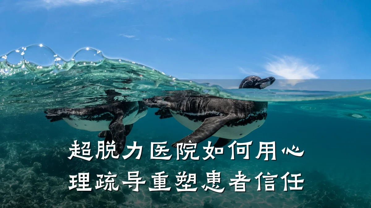 超脱力医院如何用心理疏导重塑患者信任