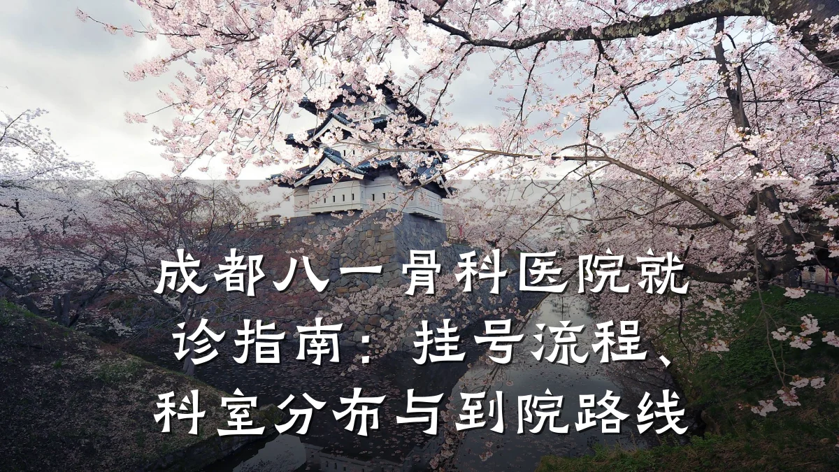 成都八一骨科医院就诊指南:挂号流程、科室分布与到院路线