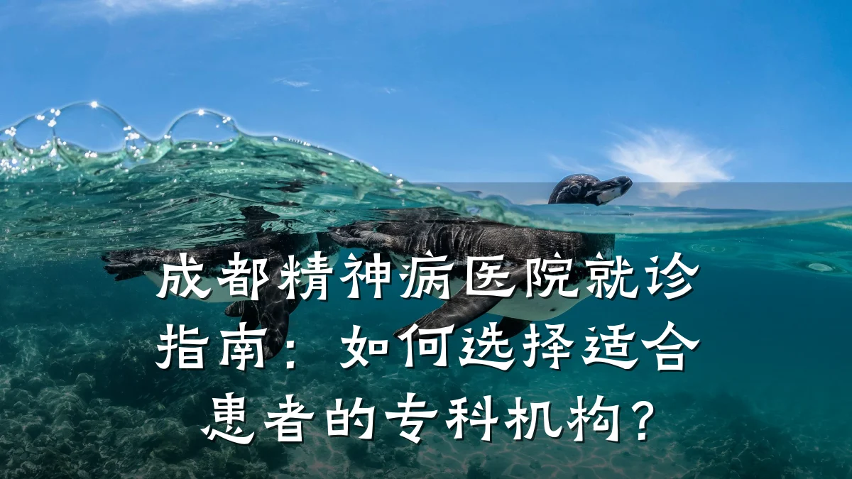 成都精神病医院就诊指南:如何选择适合患者的专科机构?