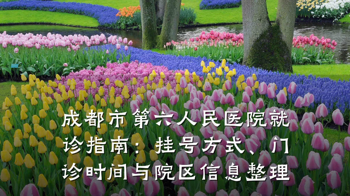 成都市第六人民医院就诊指南:挂号方式、门诊时间与院区信息整理