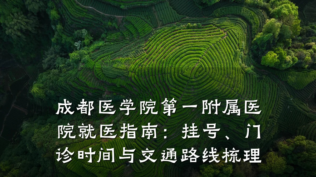 成都医学院第一附属医院就医指南:挂号、门诊时间与交通路线梳理