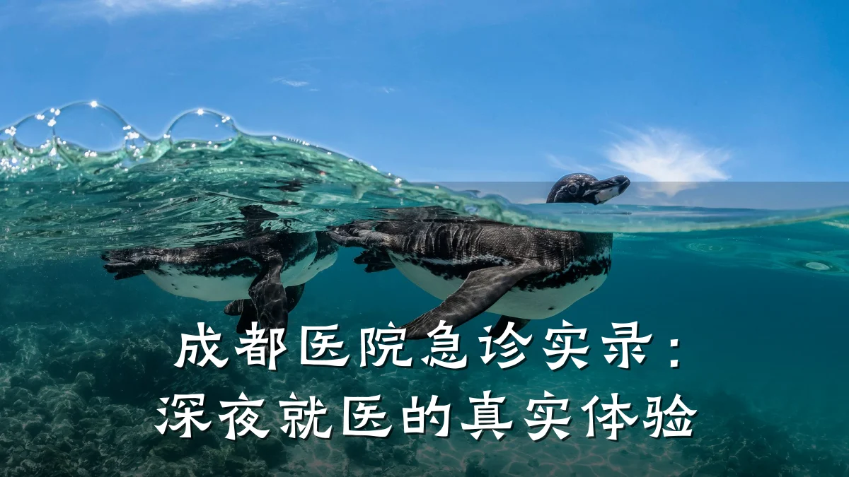 成都医院急诊实录:深夜就医的真实体验