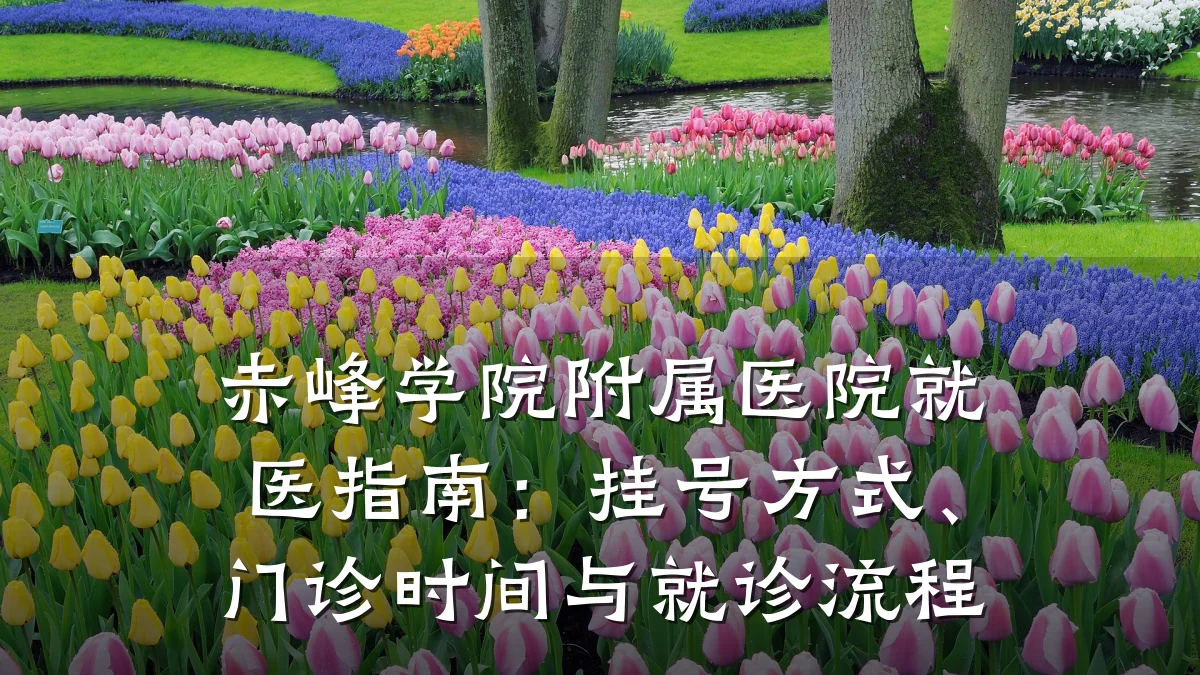 赤峰学院附属医院就医指南:挂号方式、门诊时间与就诊流程