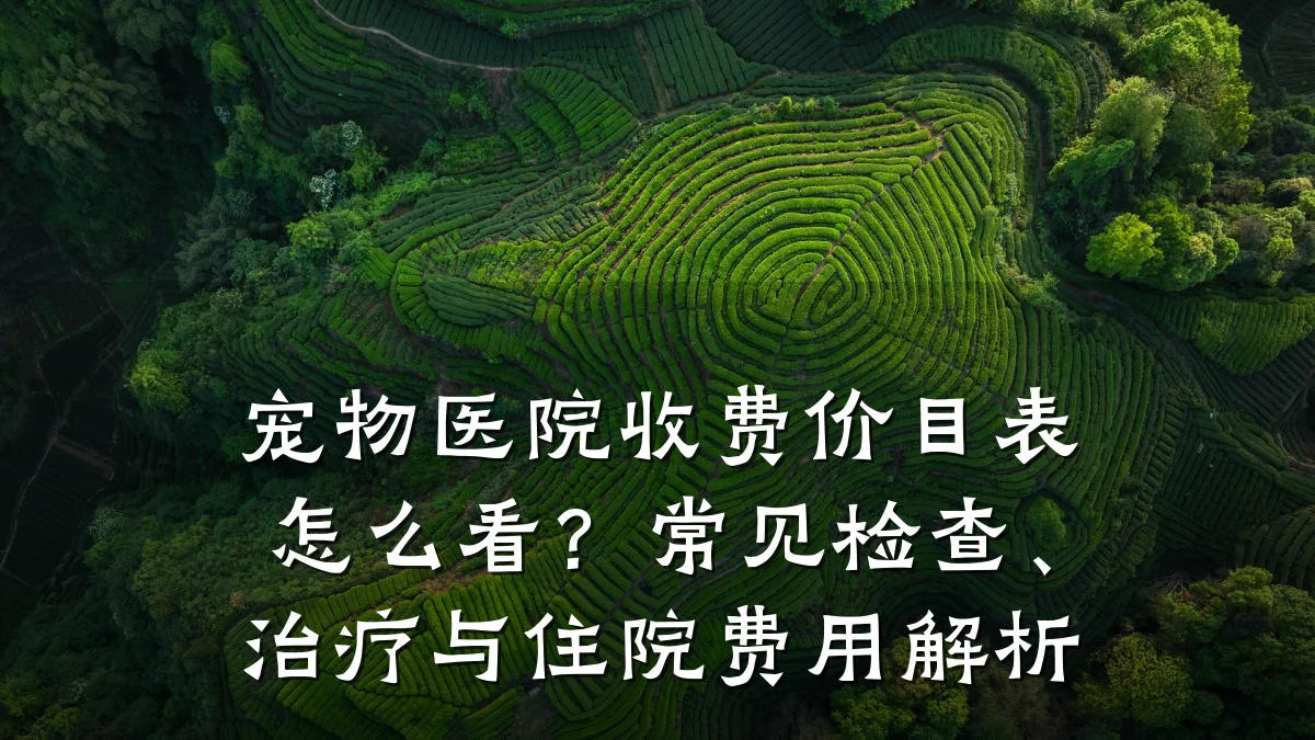 宠物医院收费价目表怎么看？常见检查、治疗与住院费用解析