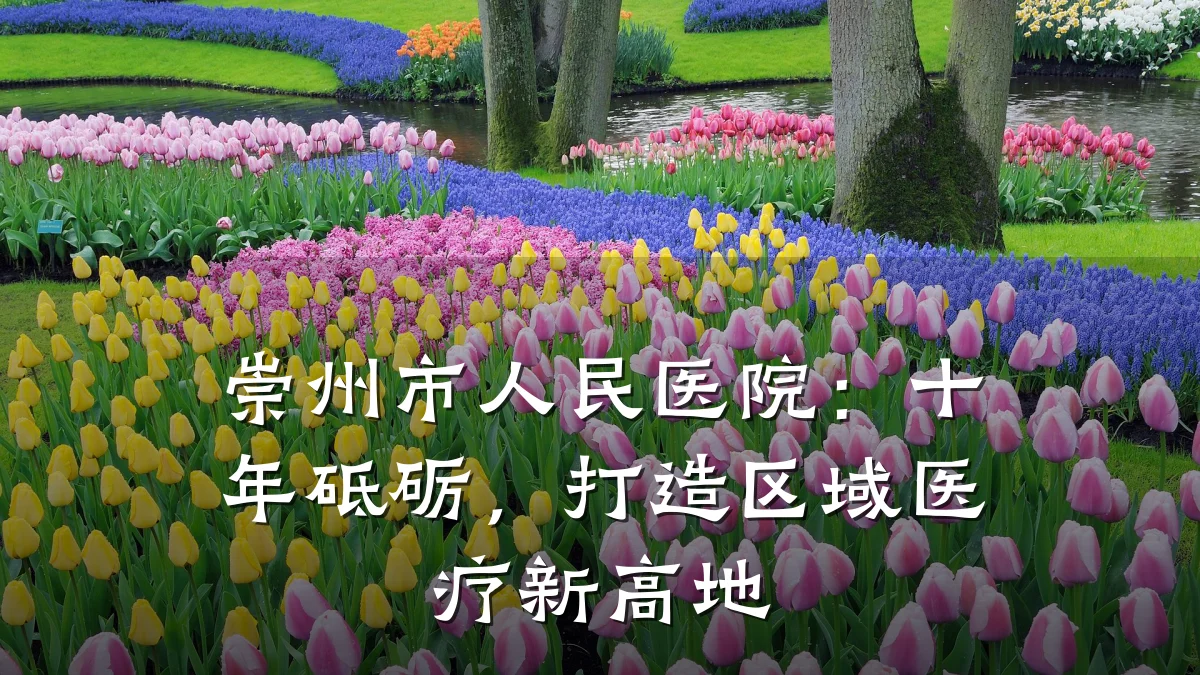 崇州市人民医院:十年砥砺,打造区域医疗新高地