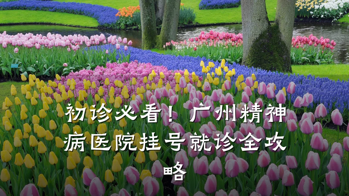 初诊必看!广州精神病医院挂号就诊全攻略