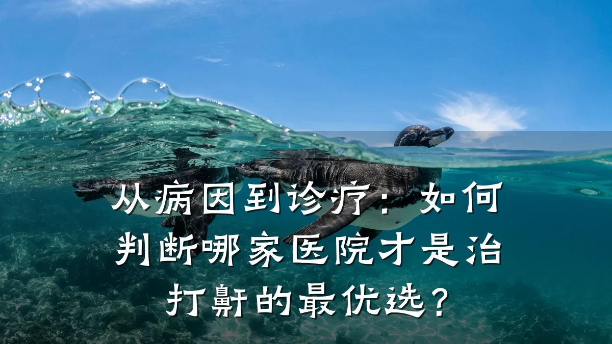 从病因到诊疗:如何判断哪家医院才是治打鼾的最优选?