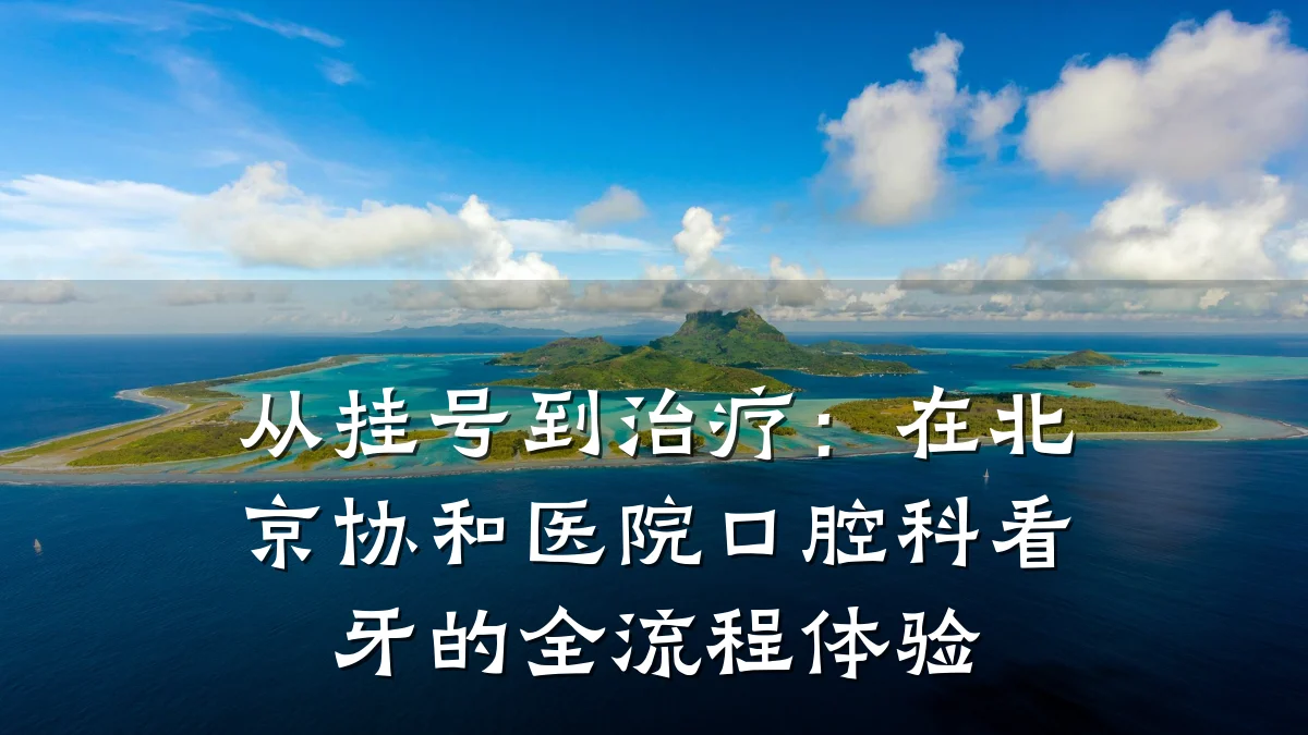从挂号到治疗:在北京协和医院口腔科看牙的全流程体验