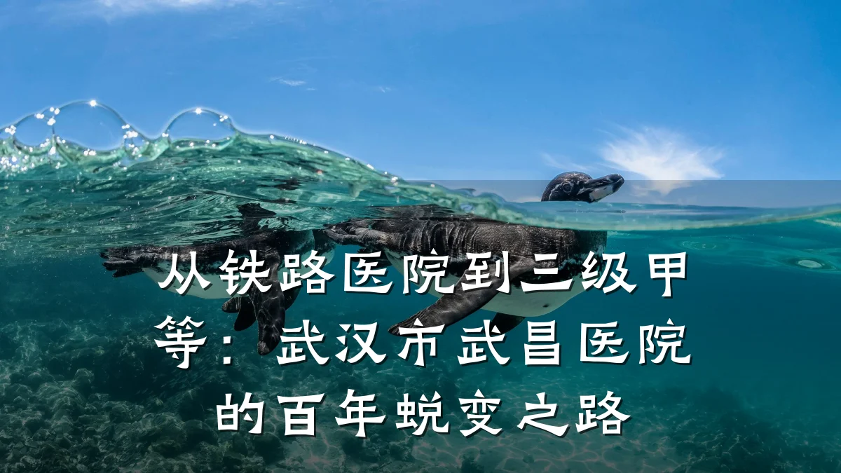 从铁路医院到三级甲等:武汉市武昌医院的百年蜕变之路