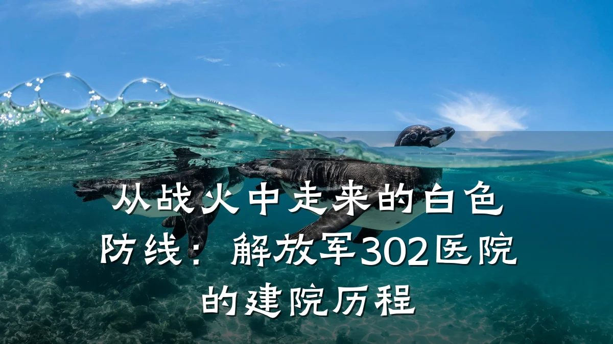 从战火中走来的白色防线:解放军302医院的建院历程