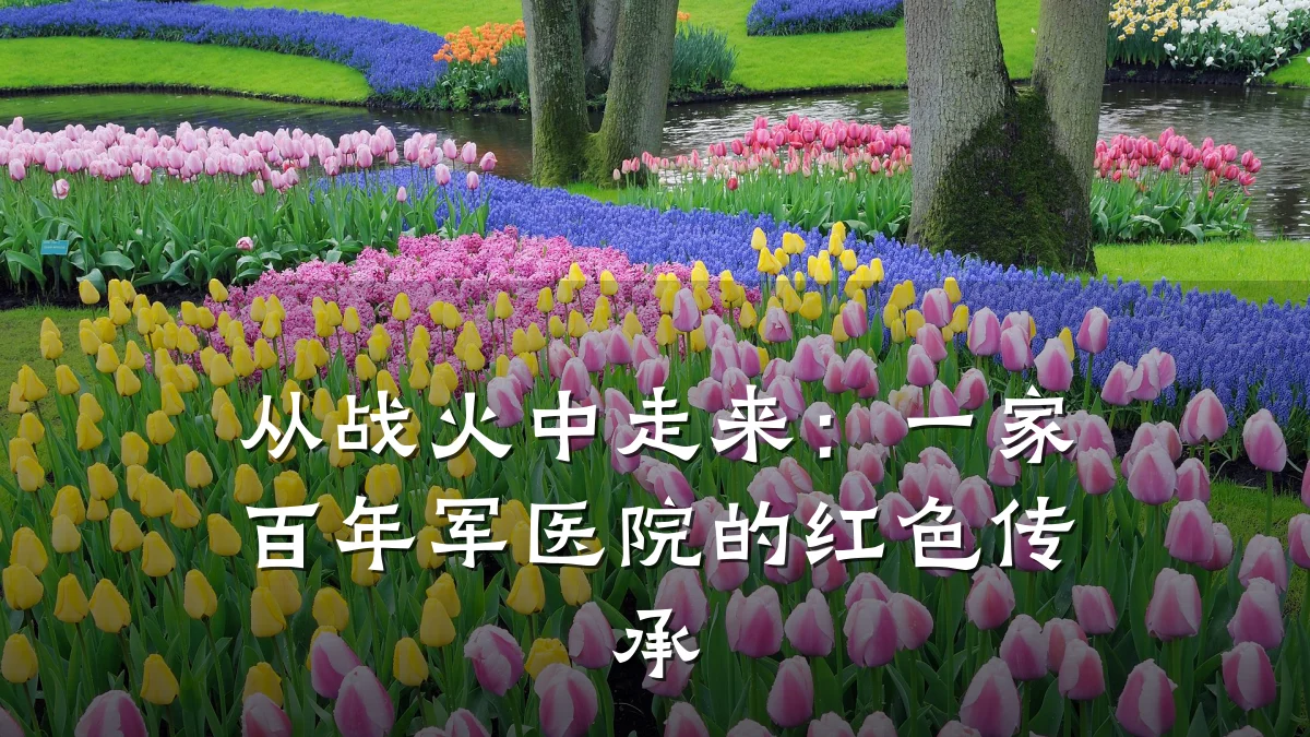 从战火中走来:一家百年军医院的红色传承