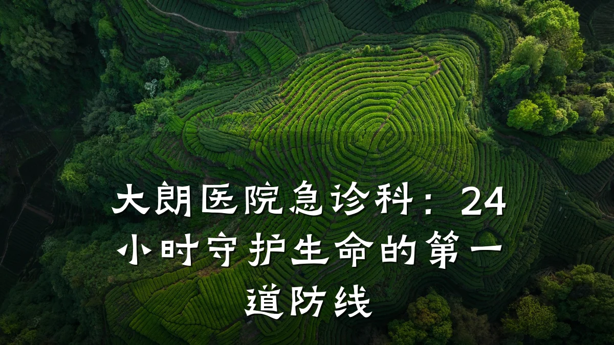 大朗医院急诊科:24小时守护生命的第一道防线