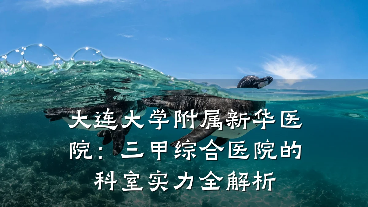 大连大学附属新华医院:三甲综合医院的科室实力全解析