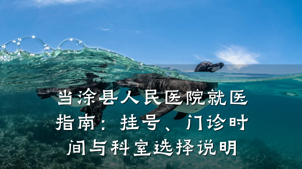 当涂县人民医院就医指南:挂号、门诊时间与科室选择说明
