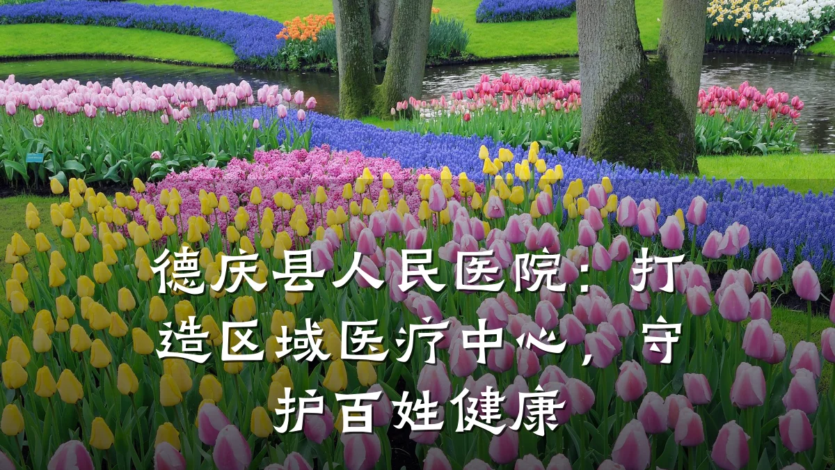 德庆县人民医院:打造区域医疗中心,守护百姓健康