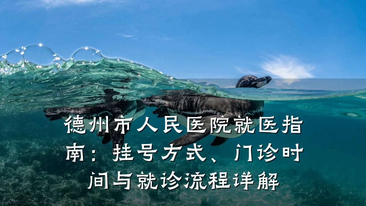 德州市人民医院就医指南:挂号方式、门诊时间与就诊流程详解