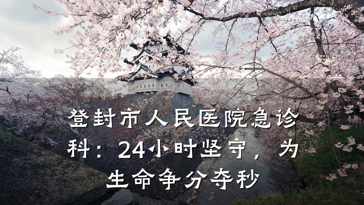 登封市人民医院急诊科:24小时坚守,为生命争分夺秒