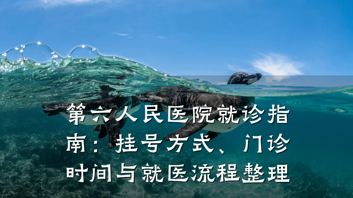 第六人民医院就诊指南:挂号方式、门诊时间与就医流程整理