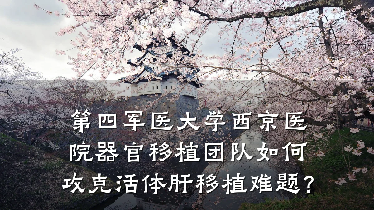 第四军医大学西京医院器官移植团队如何攻克活体肝移植难题?