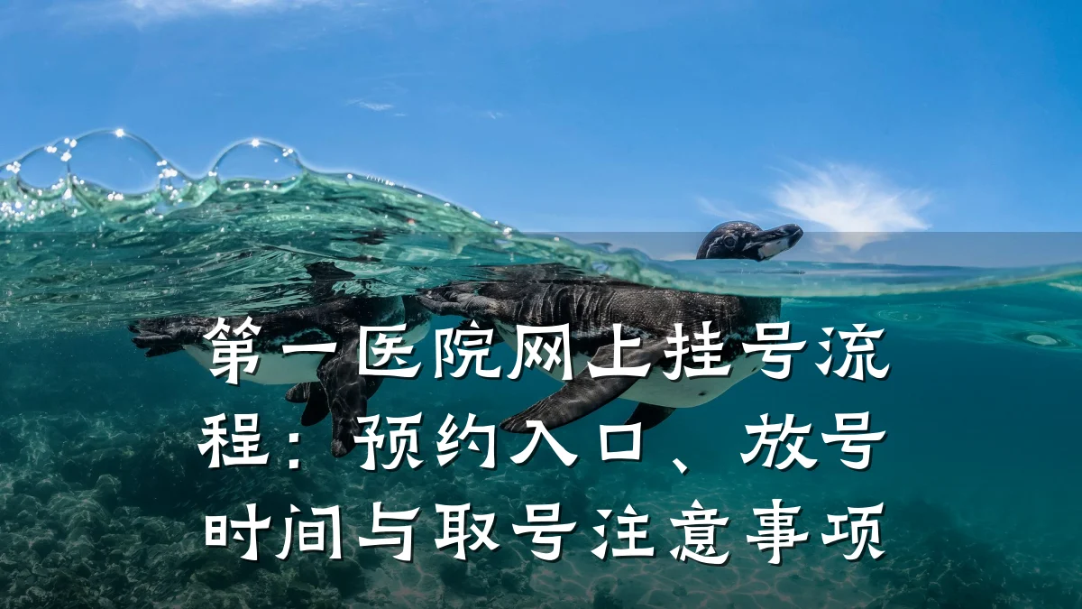 第一医院网上挂号流程:预约入口、放号时间与取号注意事项