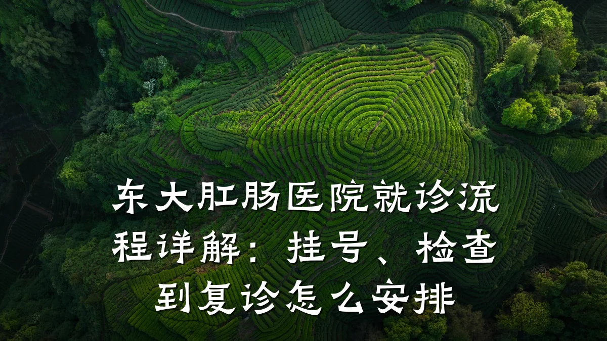 东大肛肠医院就诊流程详解:挂号、检查到复诊怎么安排