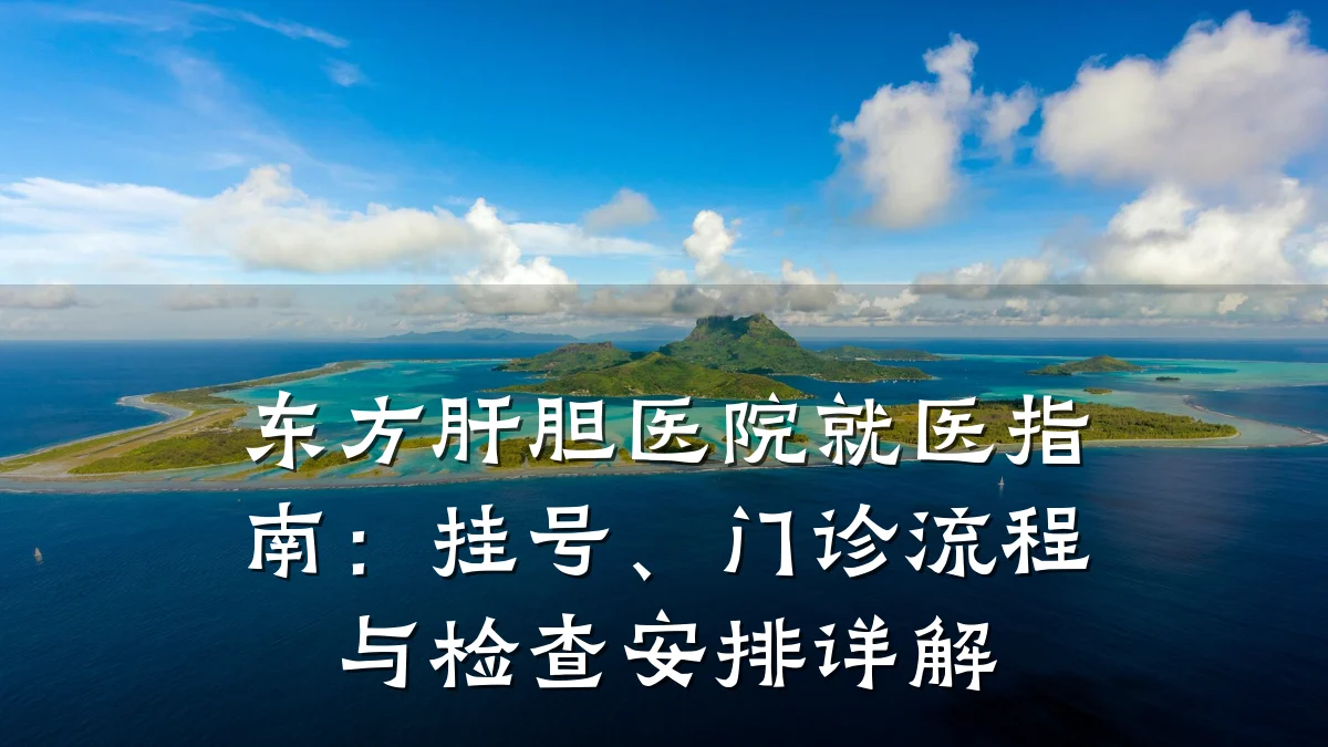 东方肝胆医院就医指南:挂号、门诊流程与检查安排详解