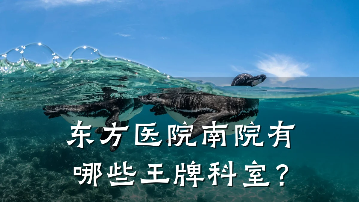 东方医院南院有哪些王牌科室?