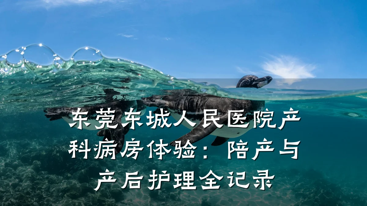 东莞东城人民医院产科病房体验:陪产与产后护理全记录