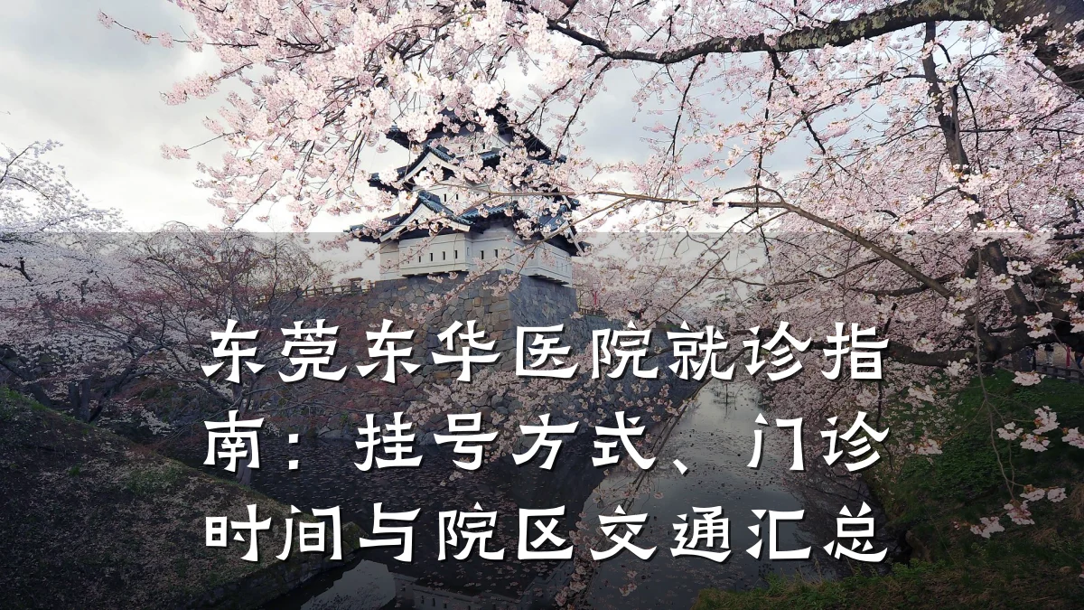 东莞东华医院就诊指南:挂号方式、门诊时间与院区交通汇总