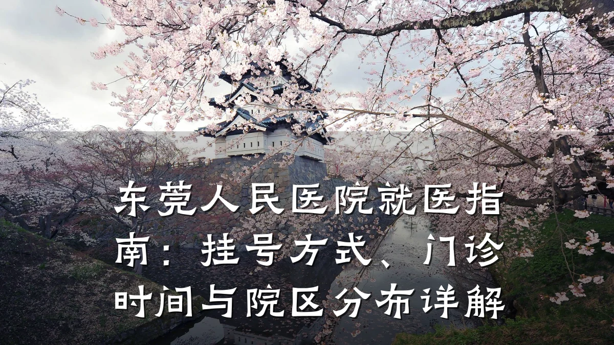 东莞人民医院就医指南:挂号方式、门诊时间与院区分布详解