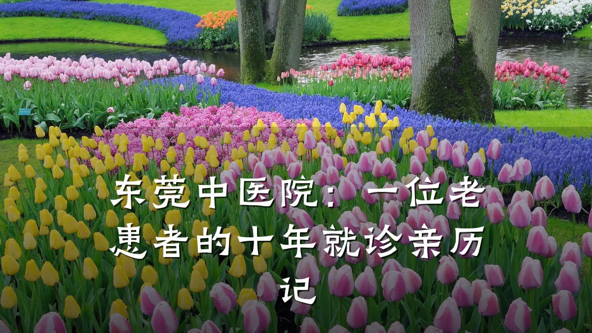 东莞中医院:一位老患者的十年就诊亲历记